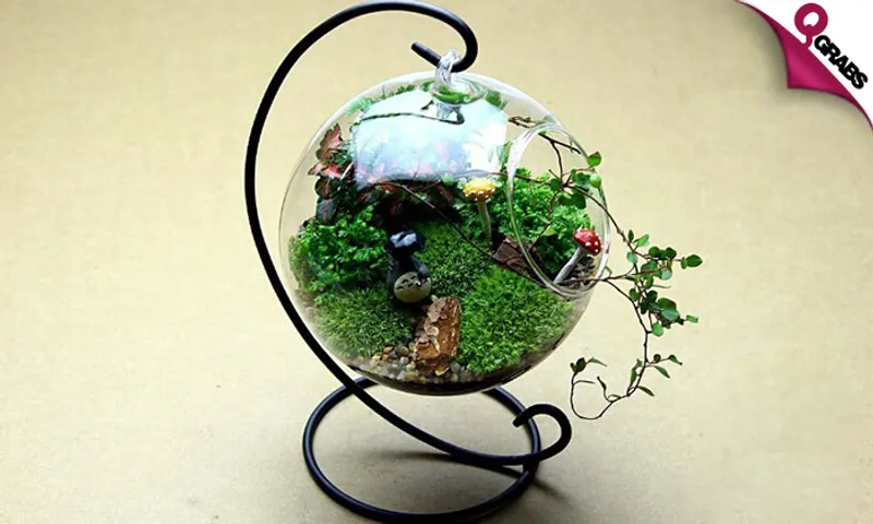 Hanging Glass Terrarium!
